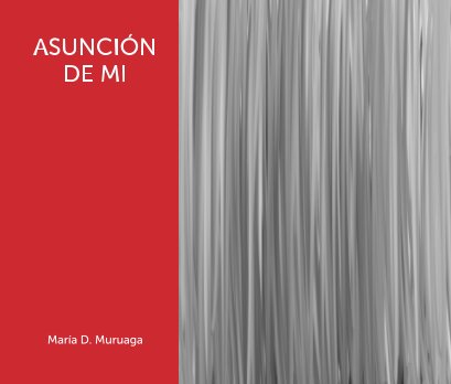 Asunción de mi book cover