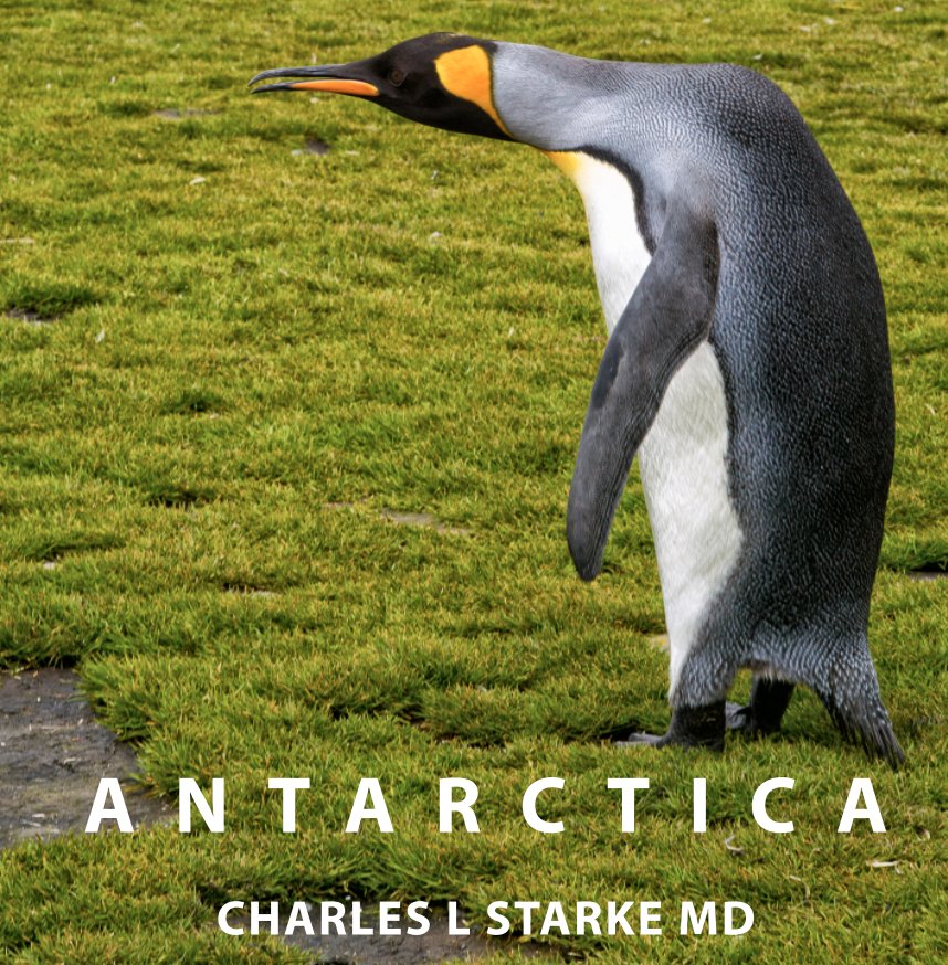 View Antarctica by Charles L Starke MD