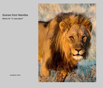 Scenes from Namibia book cover