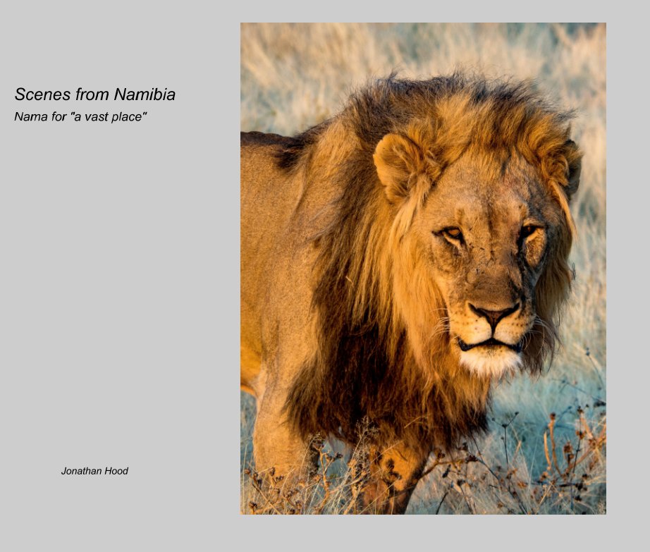 View Scenes from Namibia by Jonathan Hood
