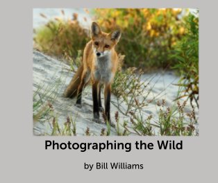 Photographing the Wild book cover