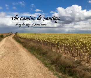 El Camino de Santiago de Compostela book cover