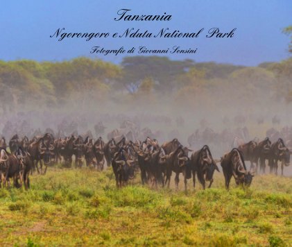 Tanzania Ngorongoro e Ndutu National Park book cover