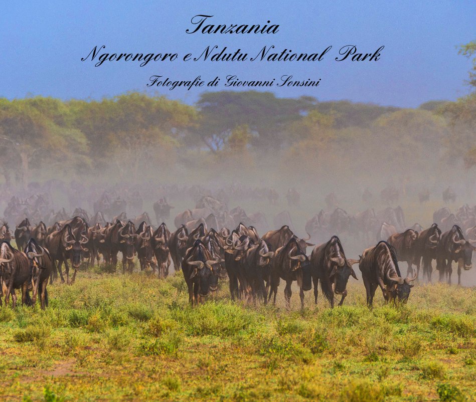 Ver Tanzania Ngorongoro e Ndutu National Park por Fotografie di Giovanni Sonsini
