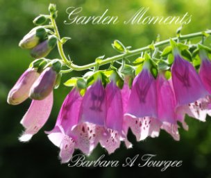Garden Moments book cover