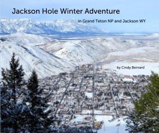 Jackson Hole Winter Adventure book cover