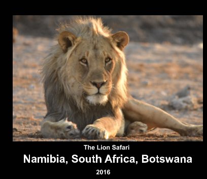 2016 Self-Drive Safari through Namibia, South Africa, and Botswana book cover
