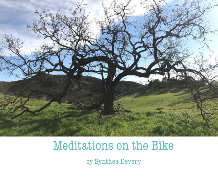 View Meditations on the Bike by Synthea Devery