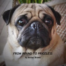 FROM POUND TO PRICELESS book cover