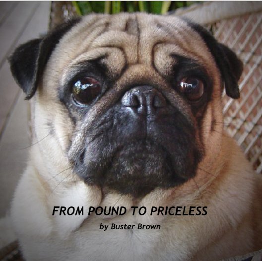 Ver FROM POUND TO PRICELESS por Buster Brown