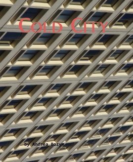 Cold City book cover