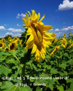 Italy:  Let's Roma-round Umbria

12 Days, 11 Friends book cover