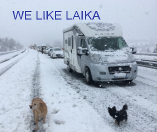 We Like Laika Winter 2017-2018 book cover