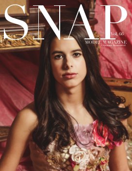 Snap Model Magazine Vol 66 book cover