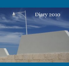 Diary 2010 book cover