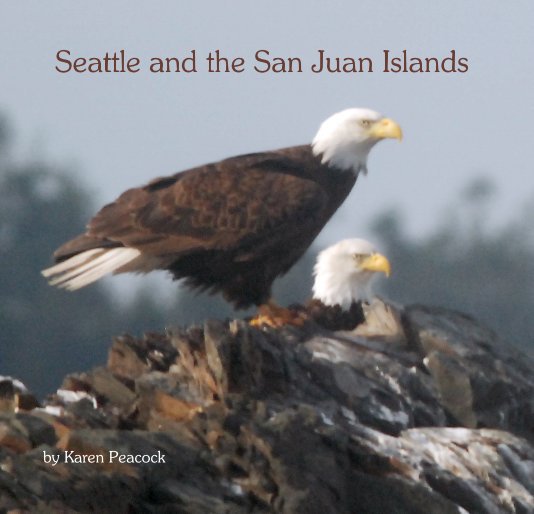 View Seattle and the San Juan Islands by Karen Peacock