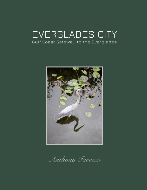 Everglades City nach Anthony Iacuzzi anzeigen
