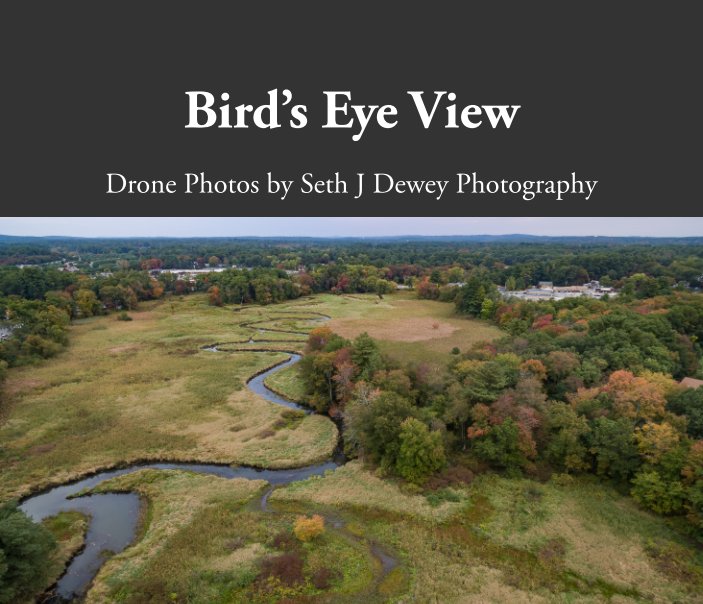 View Bird's Eye View by Seth J Dewey