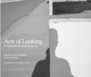 Acts of Looking book cover