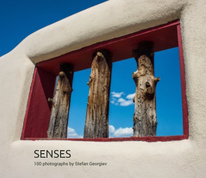 Senses book cover