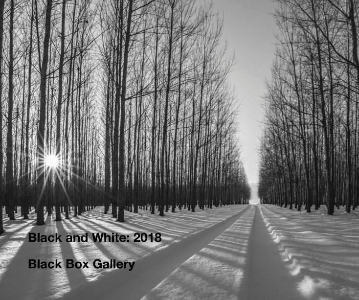 Black and White: 2018 nach Black Box Gallery anzeigen
