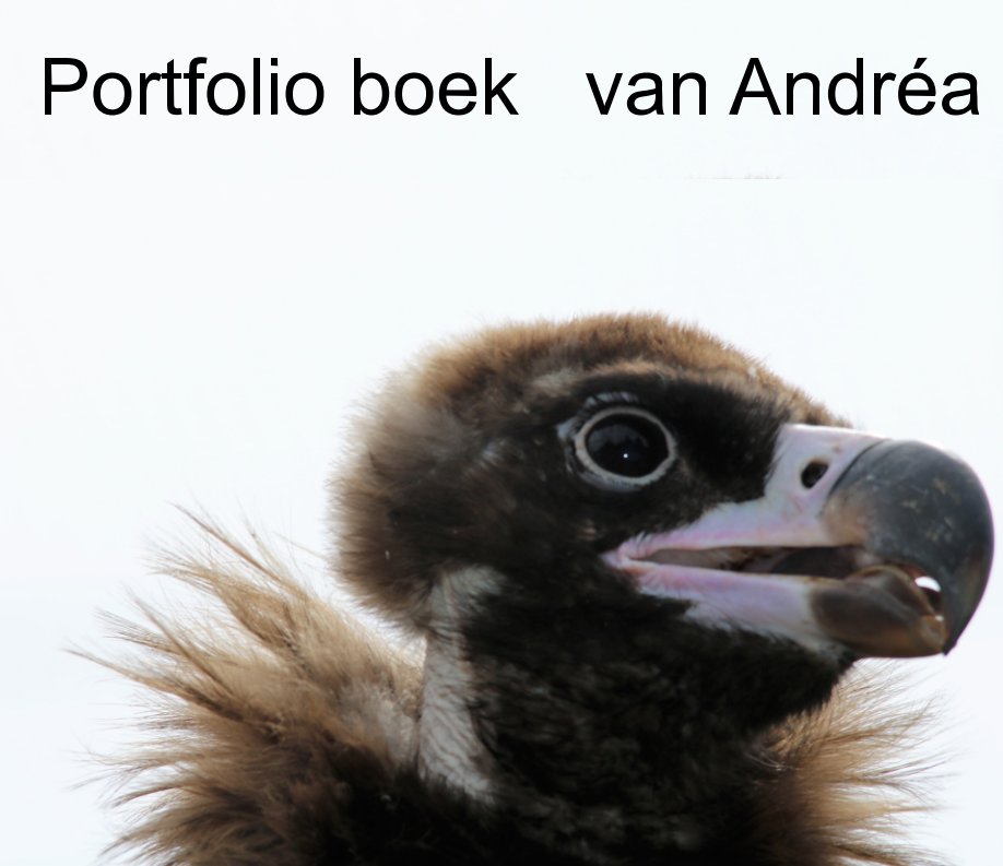 View portfolio boek 2017 by Andréa Hélène van der Pluijm
