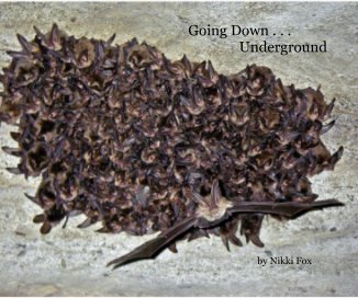 Going Down . . . Underground book cover