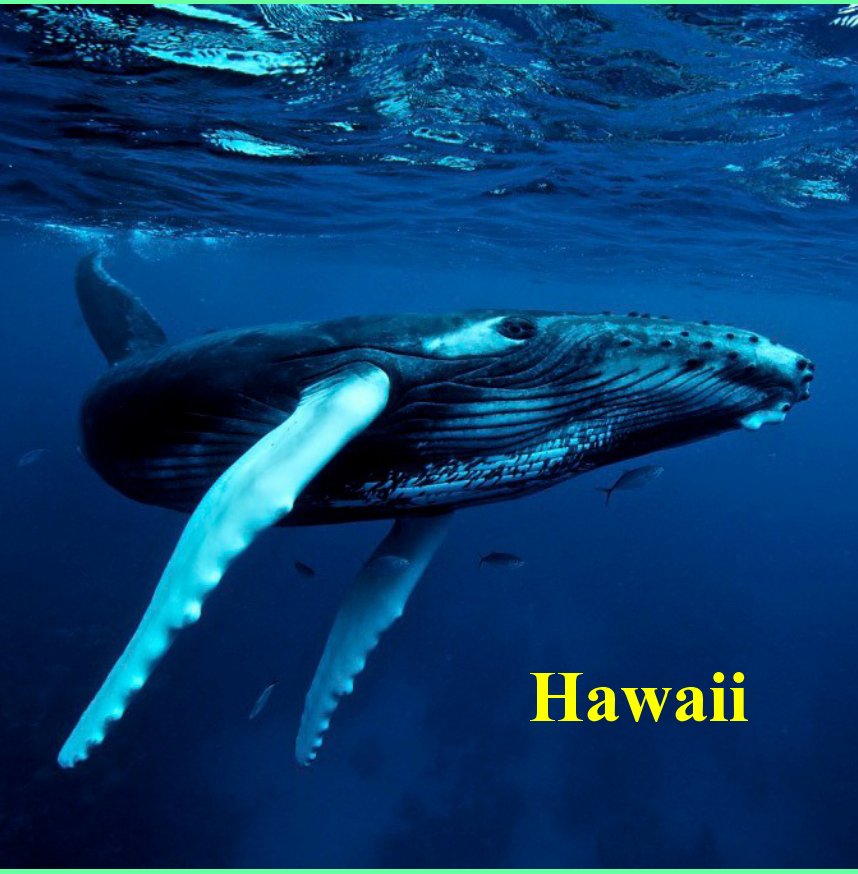 Visualizza Hawaii di Larry Jensen