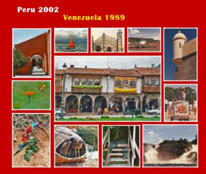 Peru 2002 Venezuela 1989 book cover