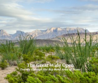The Great Wide Open book cover
