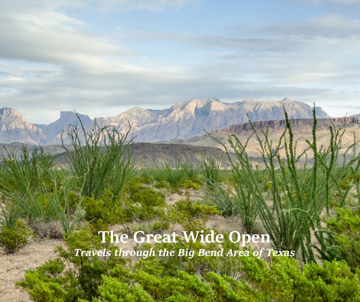 View The Great Wide Open by SuZan Alexander