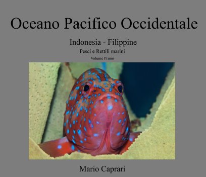 Oceano Pacifico Occidentale book cover