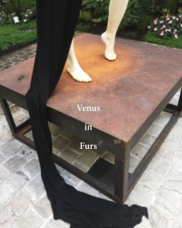 Venus in Furs book cover