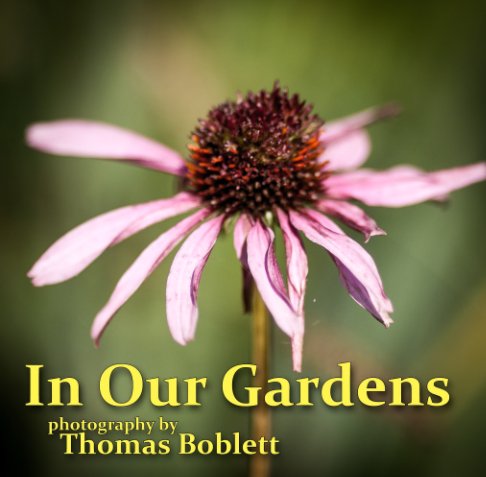 View In Our Gardens by Thomas Boblett