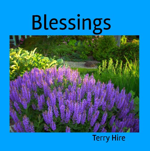 Visualizza Blessings di Terry Hire