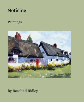 Noticing book cover
