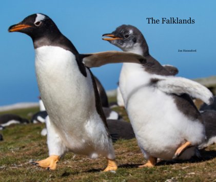 The Falklands book cover