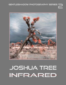 Joshua Tree Infrared book cover
