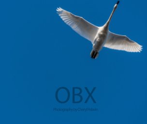 OBX book cover