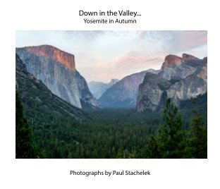 Down in the Valley... book cover