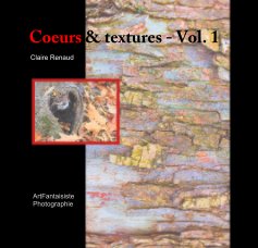Coeurs et textures - Vol. 1 book cover