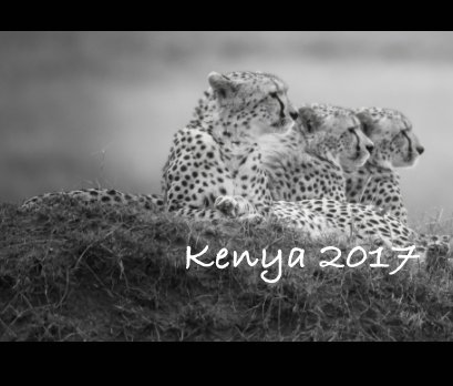 Kenya 2017 book cover