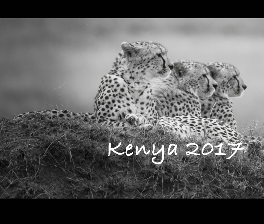 Ver Kenya 2017 por Robert Lipman