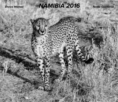 NAMIBIA 2016 book cover