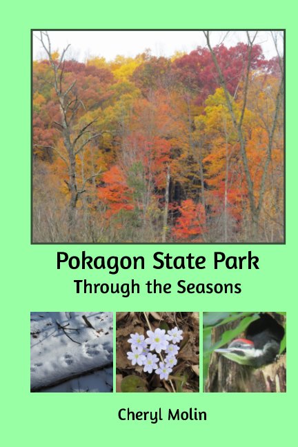 Bekijk Pokagon State Park Through the Seasons op Cheryl Molin