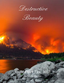 Destructive Beauty: book cover