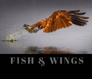 Fish and Wings book cover