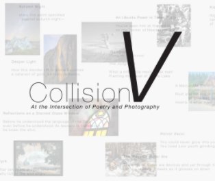 Collision V book cover