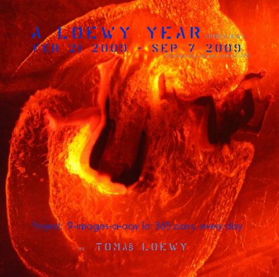 A Loewy Year (preview) Feb 21 2009 - Sep 7 2009 (the full year will go - obviously - until Feb 20 2010) book cover