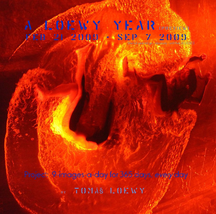 Ver A Loewy Year (preview) Feb 21 2009 - Sep 7 2009 (the full year will go - obviously - until Feb 20 2010) por TomÃ¡Å¡ Loewy